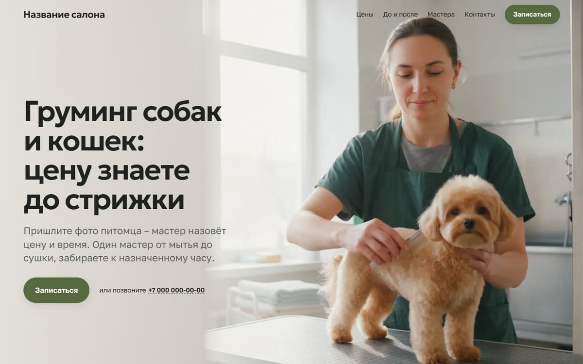 Первый экран демо груминг-салона